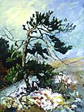 Windpruned